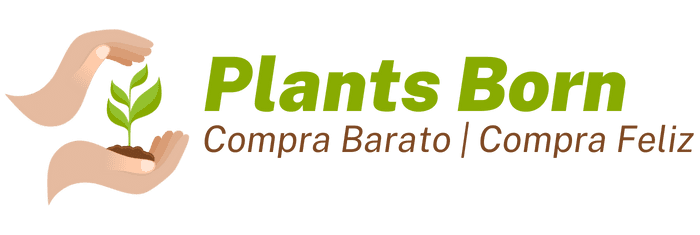 Plants Born