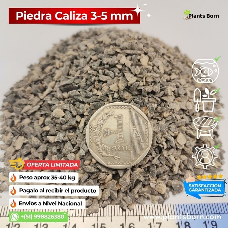 Piedra Caliza Fina La Elección Perfecta para Detalles Exquisitos en Jardinería y Construcción