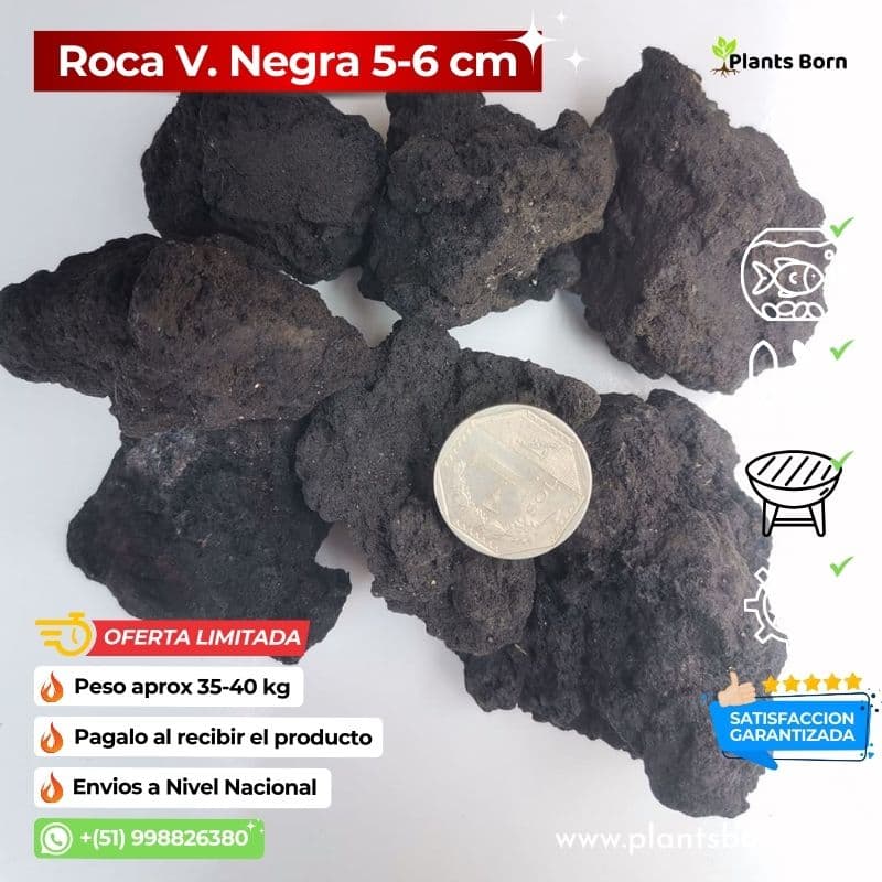 Roca Volcánica para Decorar Disponible en Google y Facebook en Perú