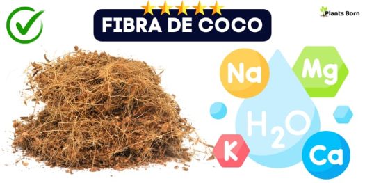 Fibra de coco gruesa pro